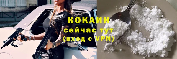 тгк Арсеньев
