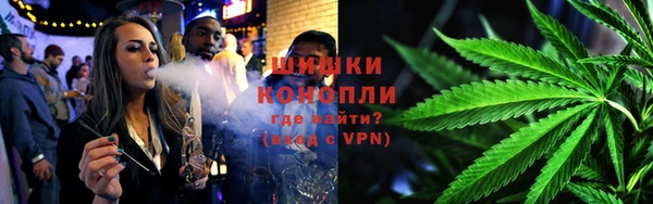 прущие грибы Армянск