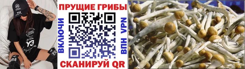 Псилоцибиновые грибы Magic Shrooms  Камешково 